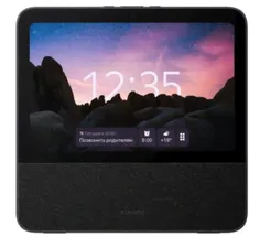 Умный дисплей с Алисой Xiaomi Smart Display 10R X10G