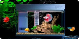 Умный Аквариум Xiaomi AI Smart Modular Fish Tank 15L (HF-JHYG006)